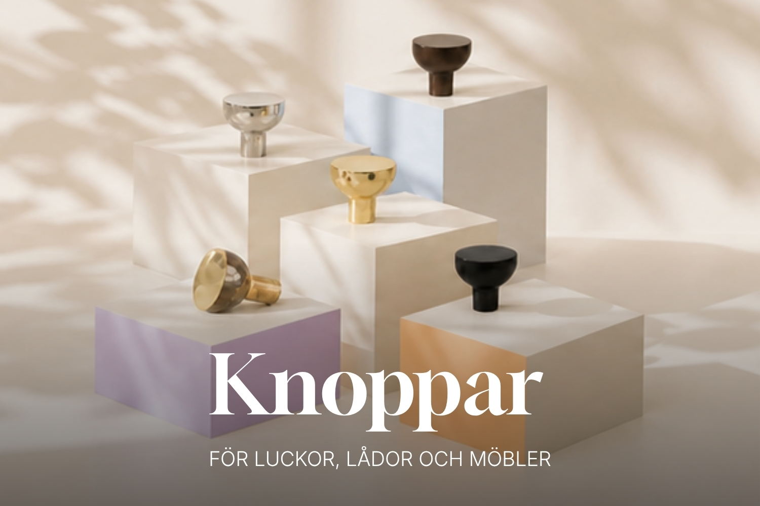 Knoppar